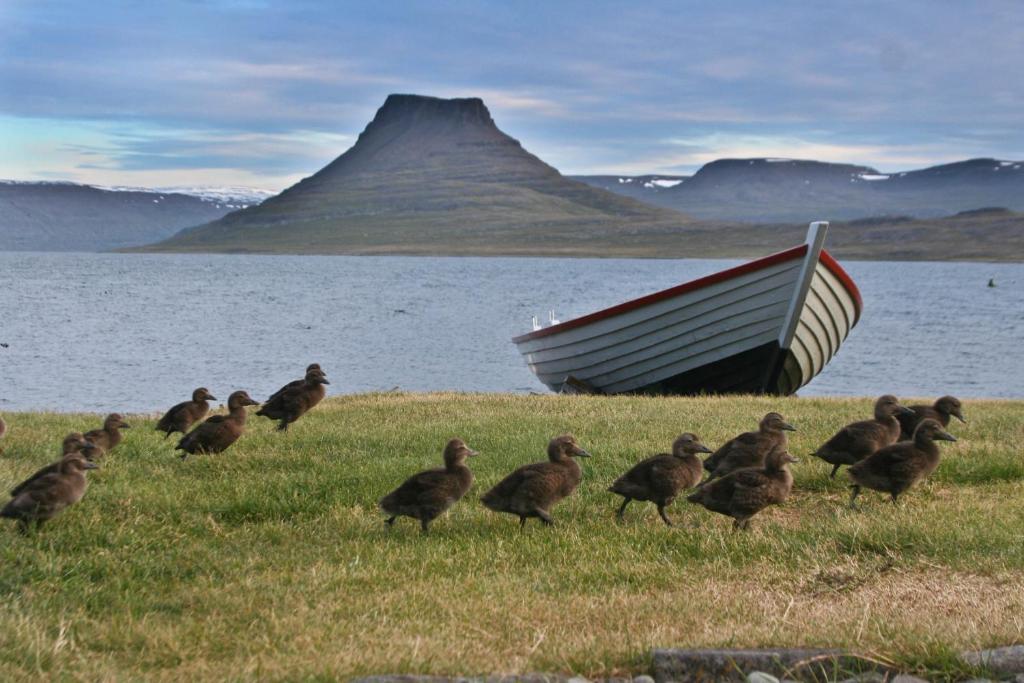 Hotel Isafjordur - Horn 外观 照片